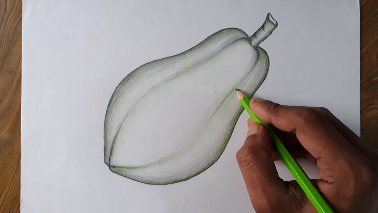 How to draw a papaya step by step (so easy)