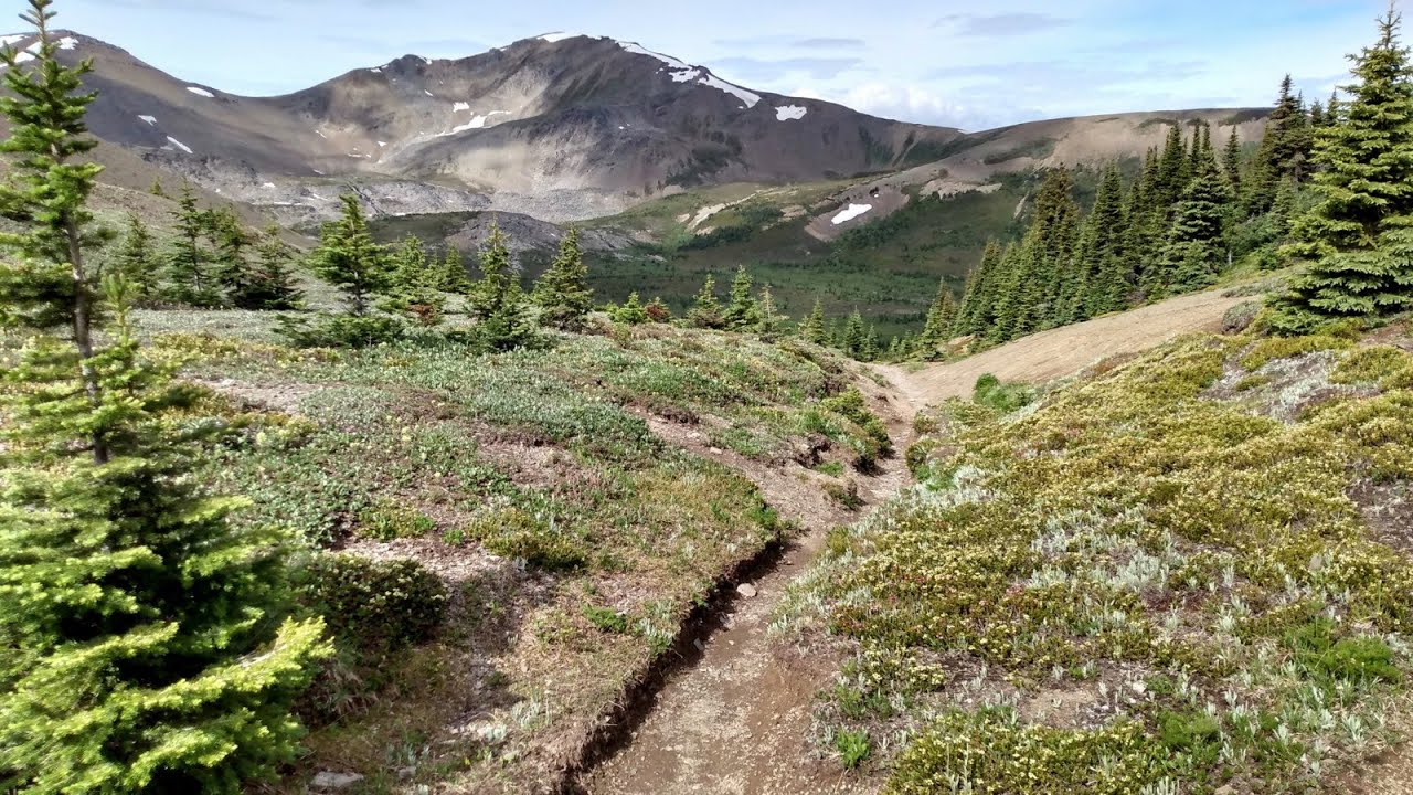 Skyline Trail South - One Year After the Jasper Wildfire