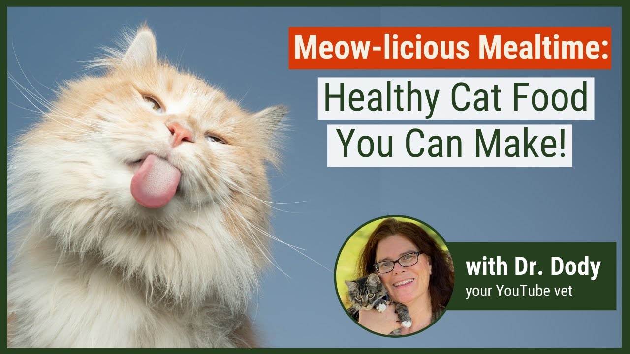 Homemade food for Cats - Raw Recipe