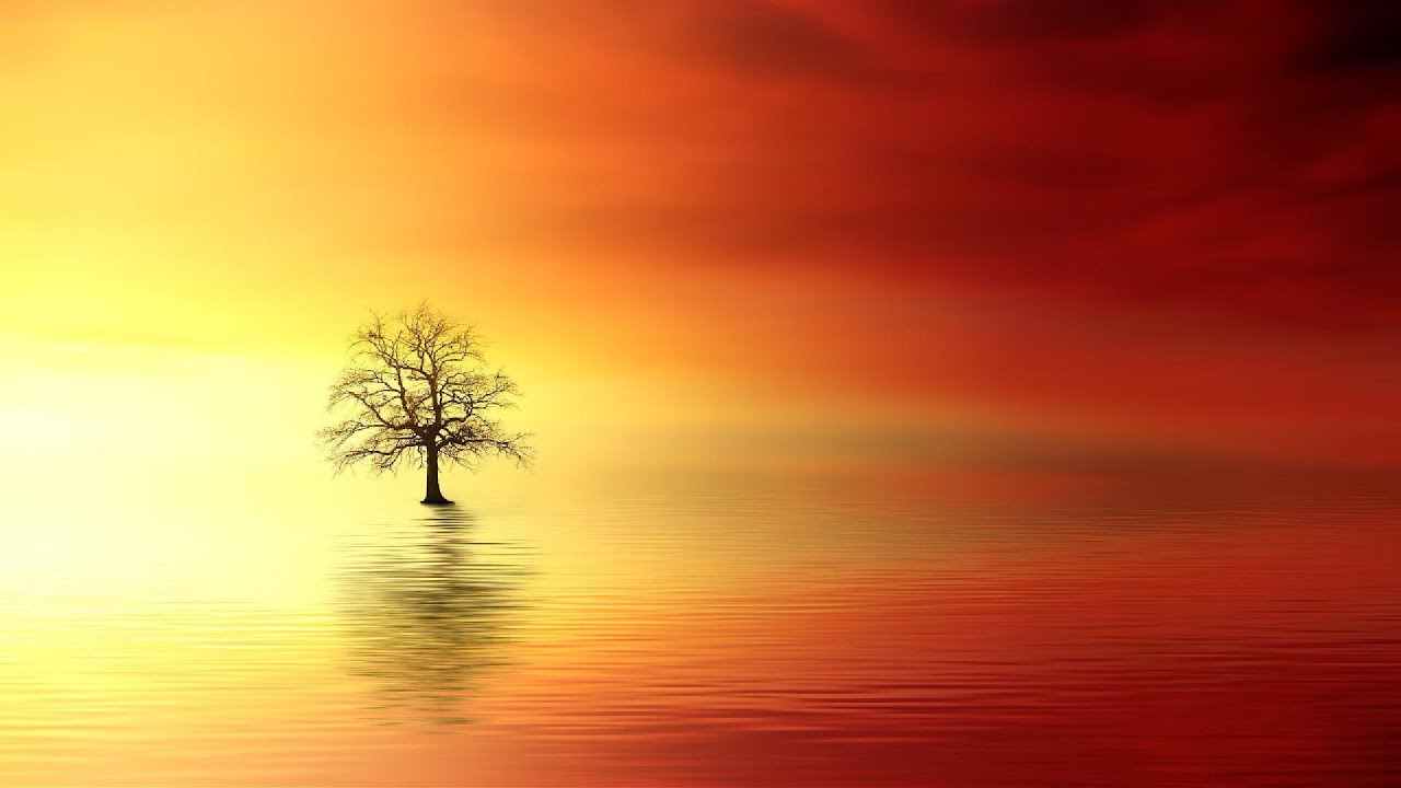Earth Dreaming Alone