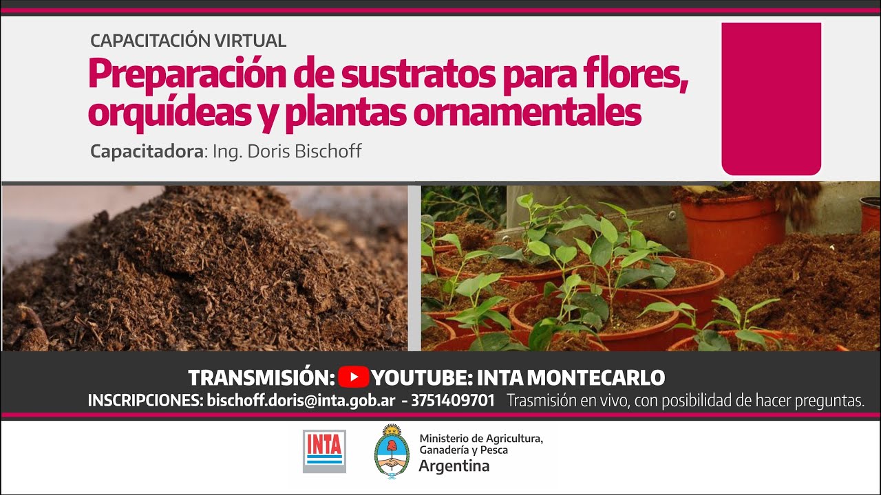 Preparación de sustratos para flores, orquídeas y plantas ornamentales