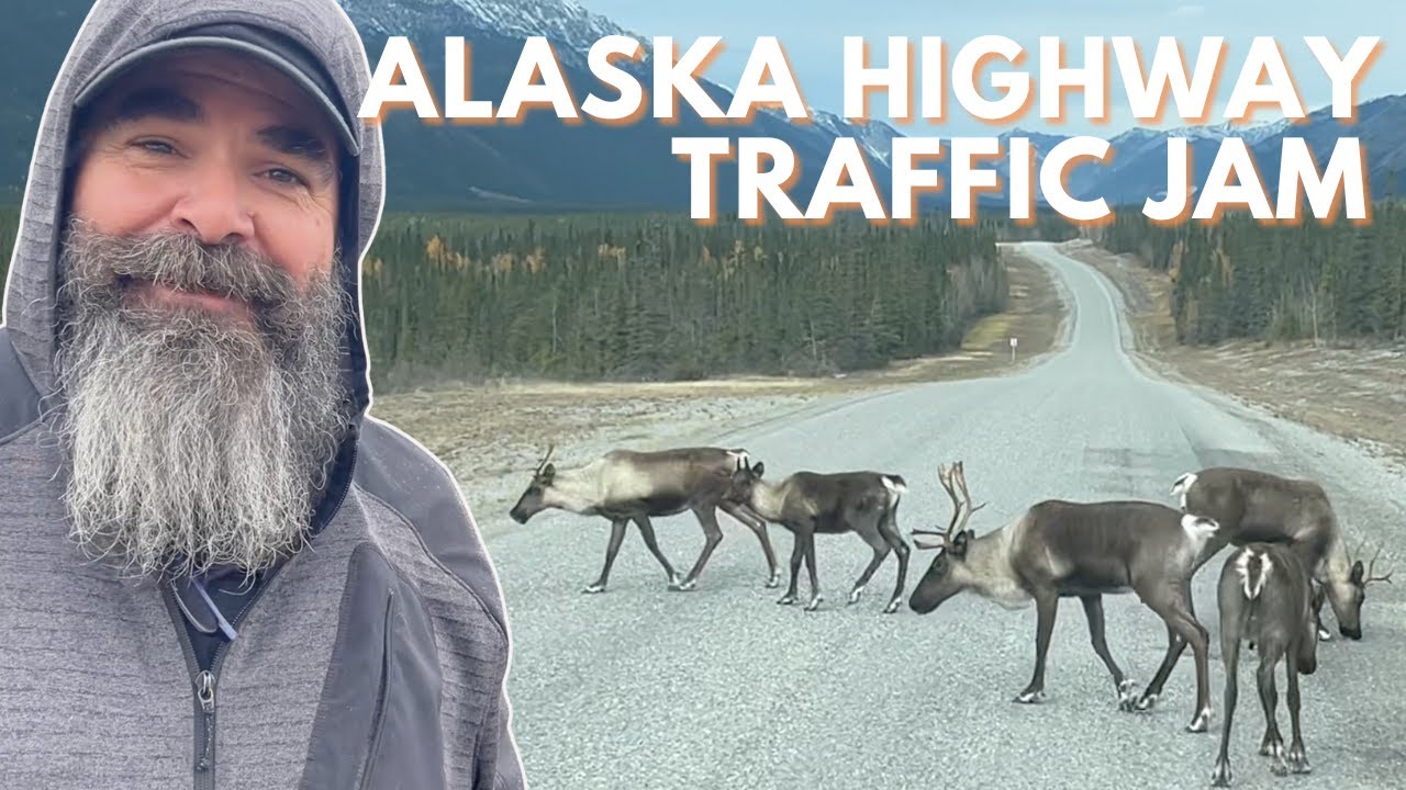 Highway Hazards and Hot Springs on Our Alaska Highway Adventure Home! (Part 2)