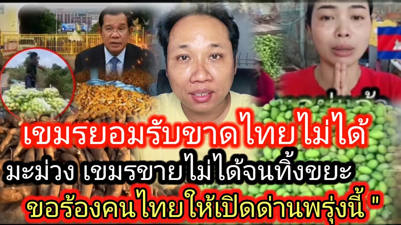 ล่าสุดเขมรสำนึกแล้วอยากให้ไทยเปิดด่านพรุ่งนี้เลย ชาวสวนมะม่วงของเขมร 