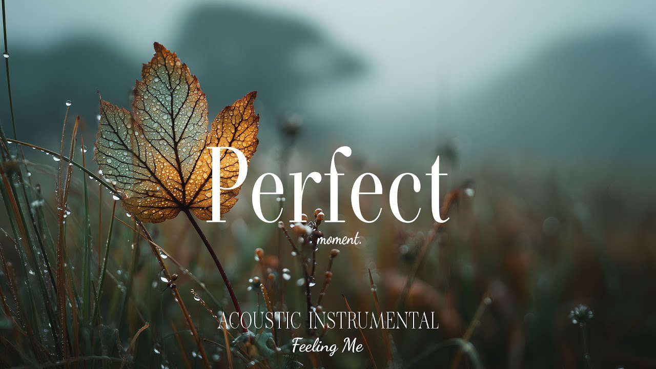 Make the moment perfect 🌿 Relaxing Guitar Music for Sleep, Peace & Deep Relaxation