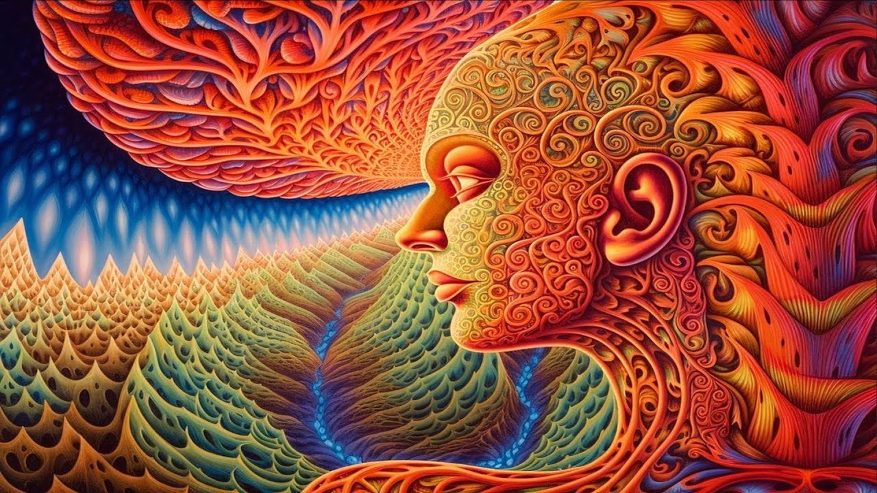 The Most Profound Trip Reports of 2023 | Part Two