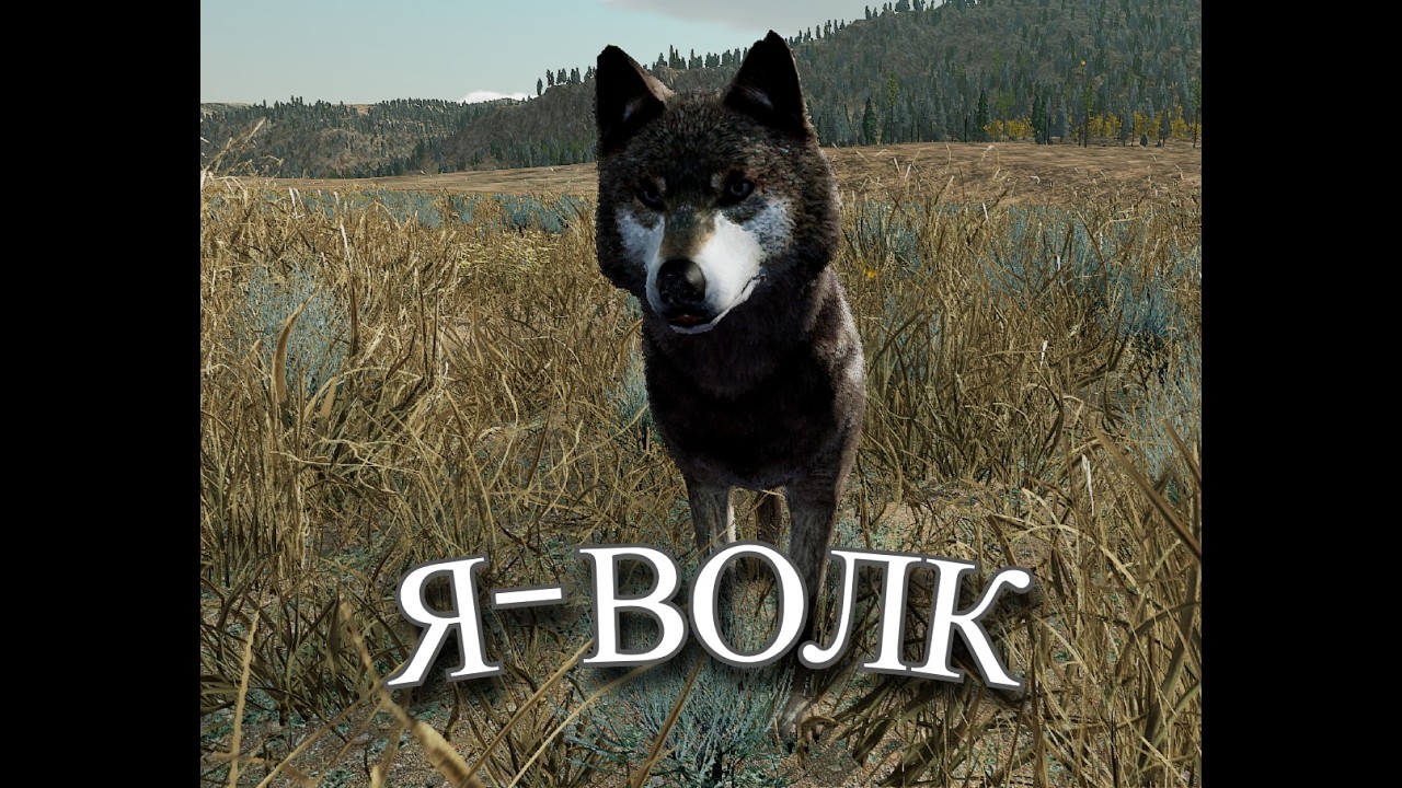 ПЕРВАЯ ОХОТА WolfQuest#1