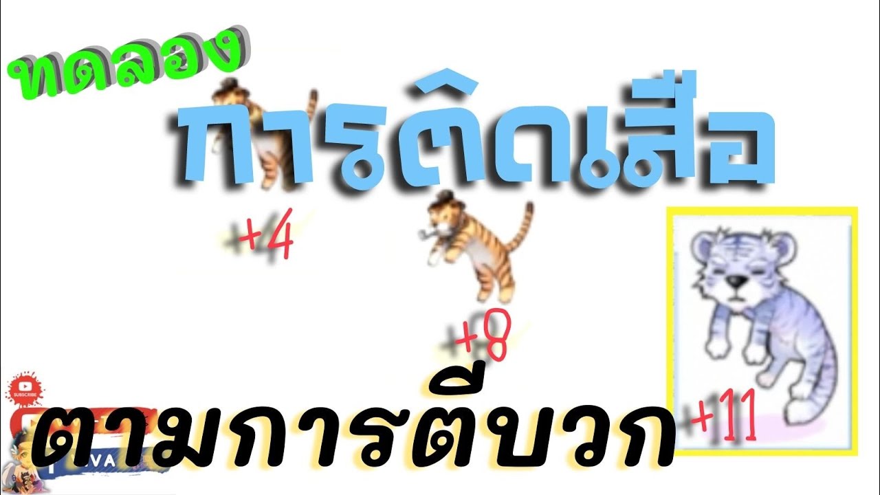 ทดลองการติดเสือตามอัตราการตีบวกที่ +4 +8 และ +11 | Ragnarok Gravity