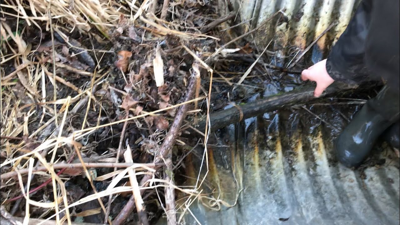 Unclogging Culverts, Tree and Sticks Inside