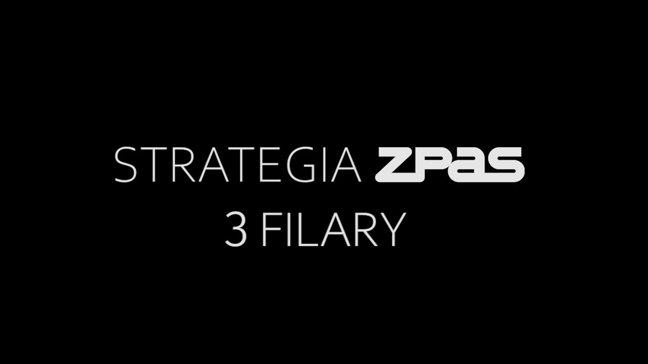Filary strategii firmy ZPAS S.A.