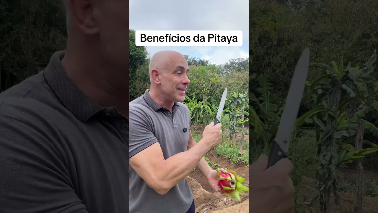 Benef&iacute;cios da Pitaya .