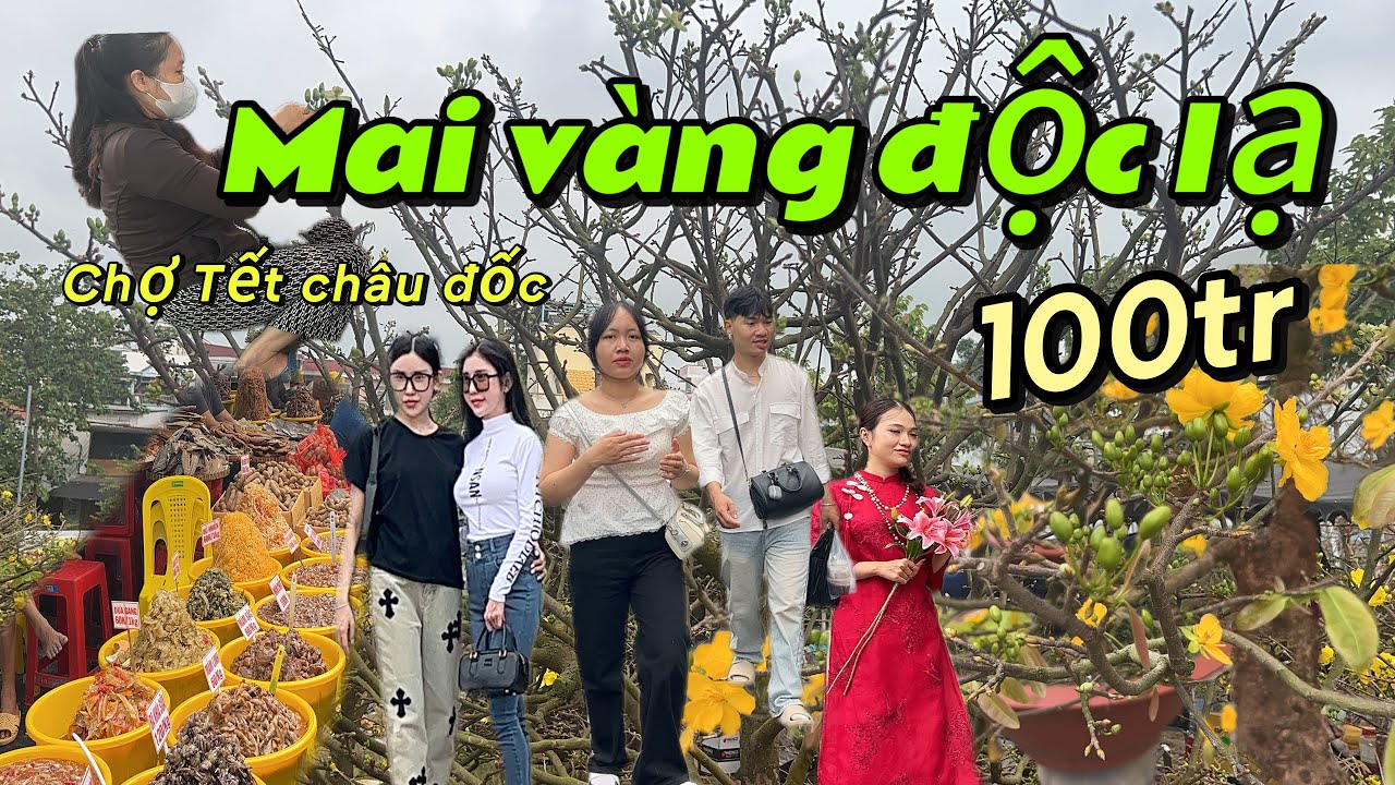 Chợ Tết châu đốc, Bùng nổ Mai vàng độc lạ chưa từng thấy