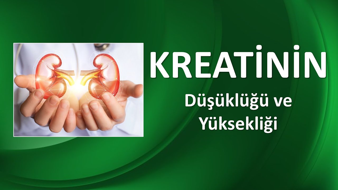 KREATİNİN NEDİR?