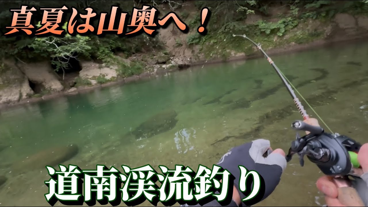 【清流百選】北海道が誇る清流日本一の河川で夏は涼しくルアーフィッシング！