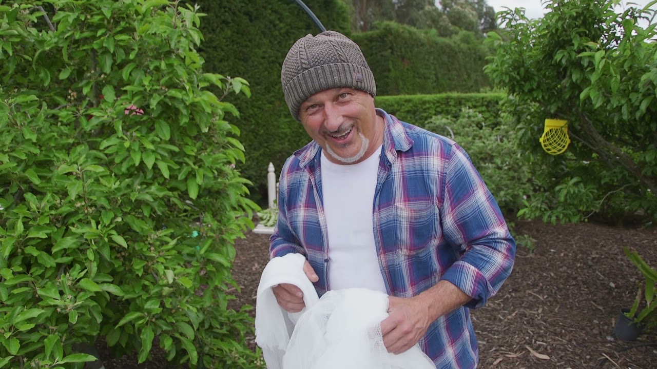 Important Tips About Installing Bird Netting