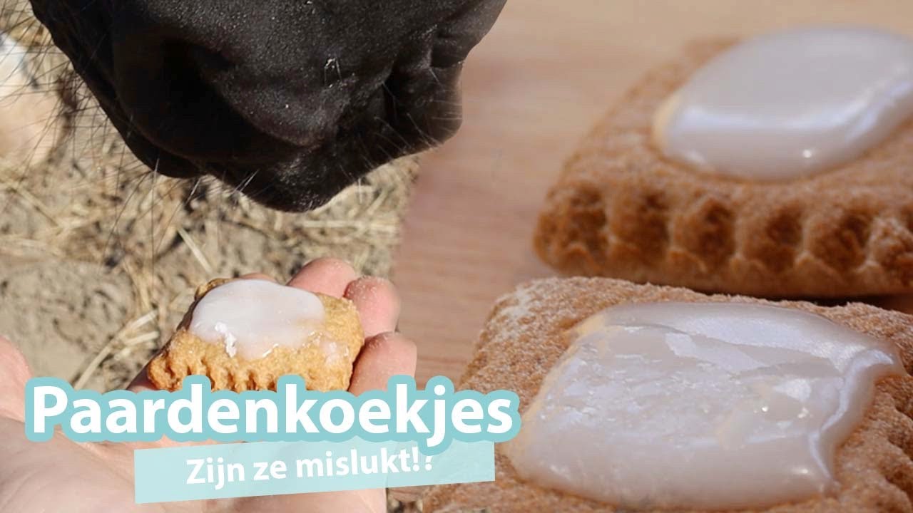 Paardenkoekjes bakken | Zaffay vlogs