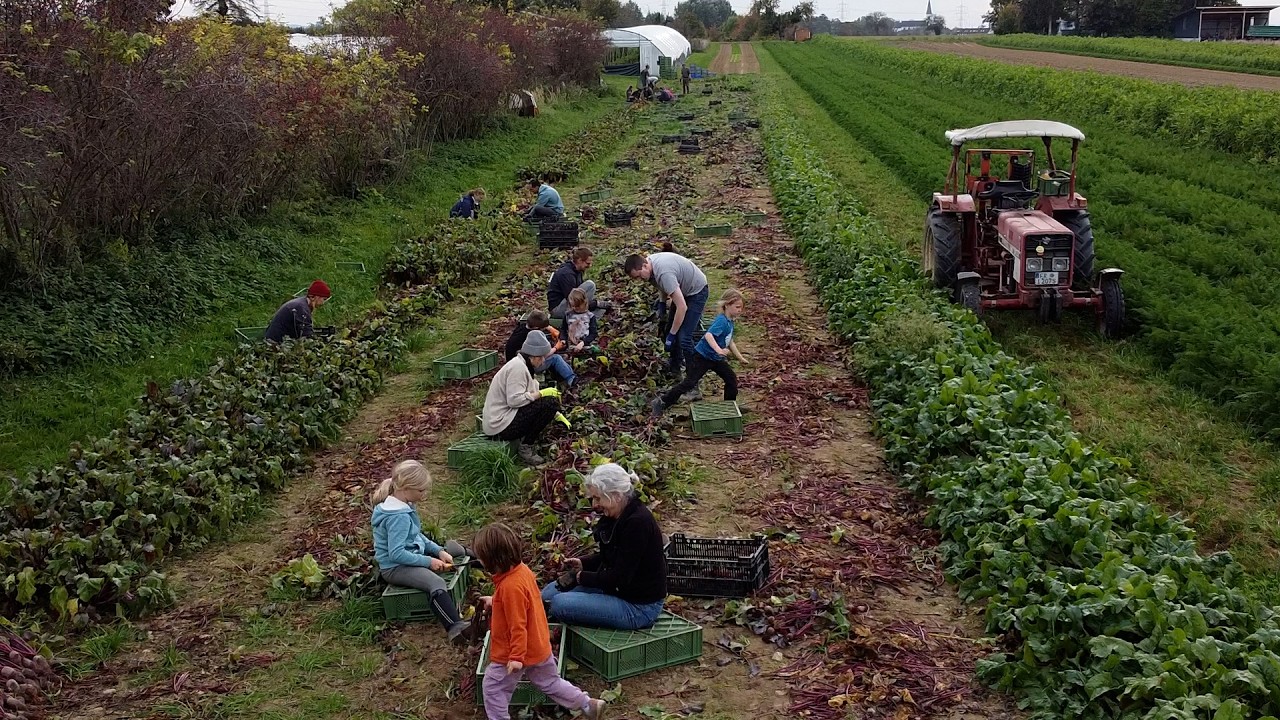 Gartencoop Freiburg: Gemeinsam Land sichern f&uuml;r solidarische Landwirtschaft