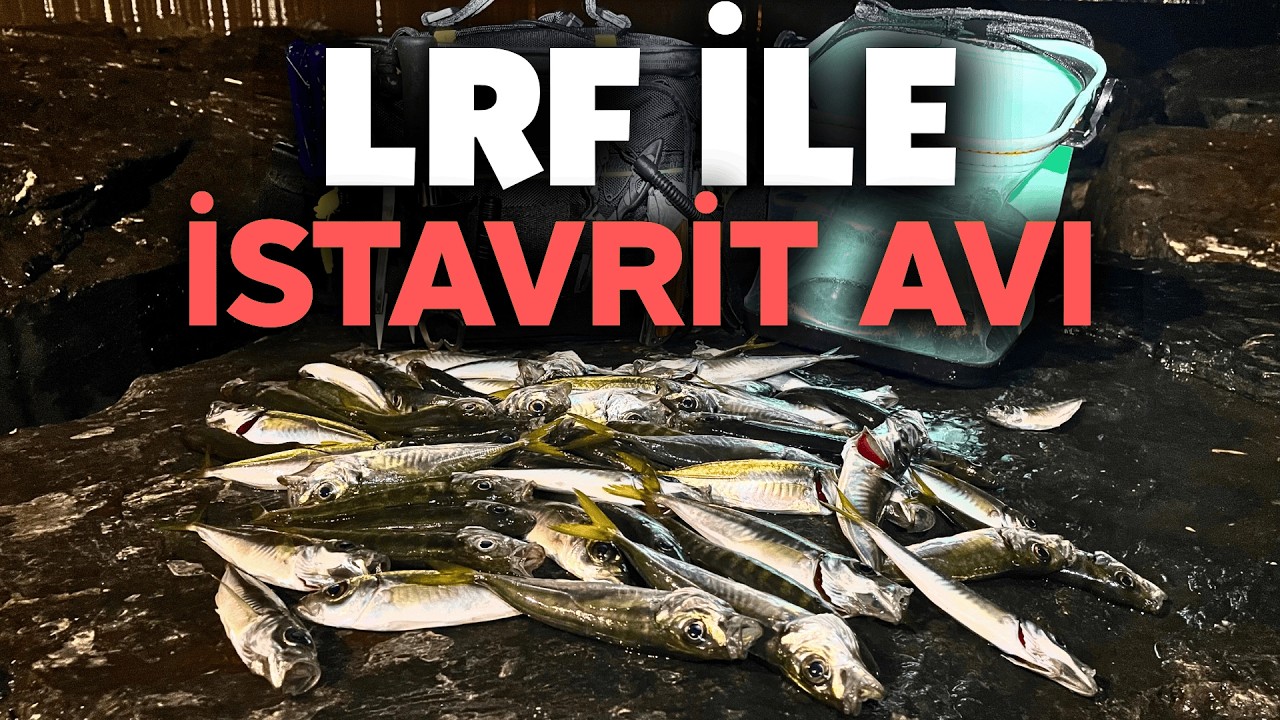 LRF İle İstavrit Avı | LRF Balık Avı ve Kesintisiz Aksiyon!