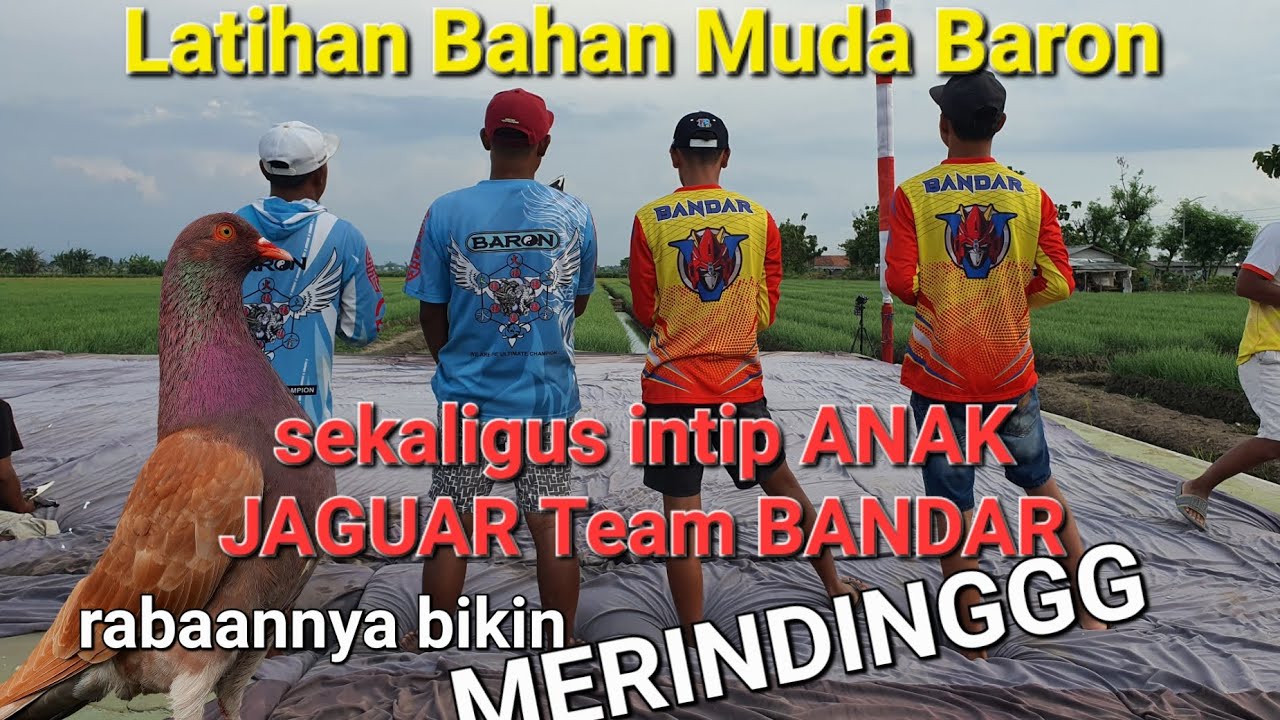 Latihan bahan muda BARON sambil intip dan raba raba anak JAGUAR team BANDAR di NEW PADEL TEGAL