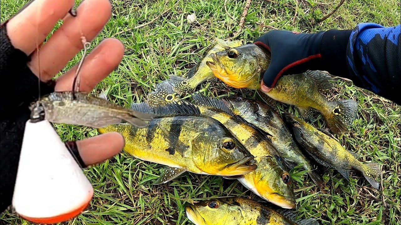 USEI A ISCA INFALÍVEL PRA PESCA ESSES PEIXES,pescaria..