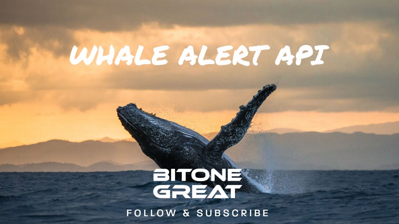 [Whale Alert] How to get real time cryptocurrency whale alert using Python API
