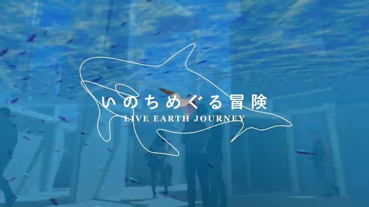 KAWAMORI Shoji『Live Earth Journey』Osaka-Kansai Expo theme project（30 sec Aquarion）