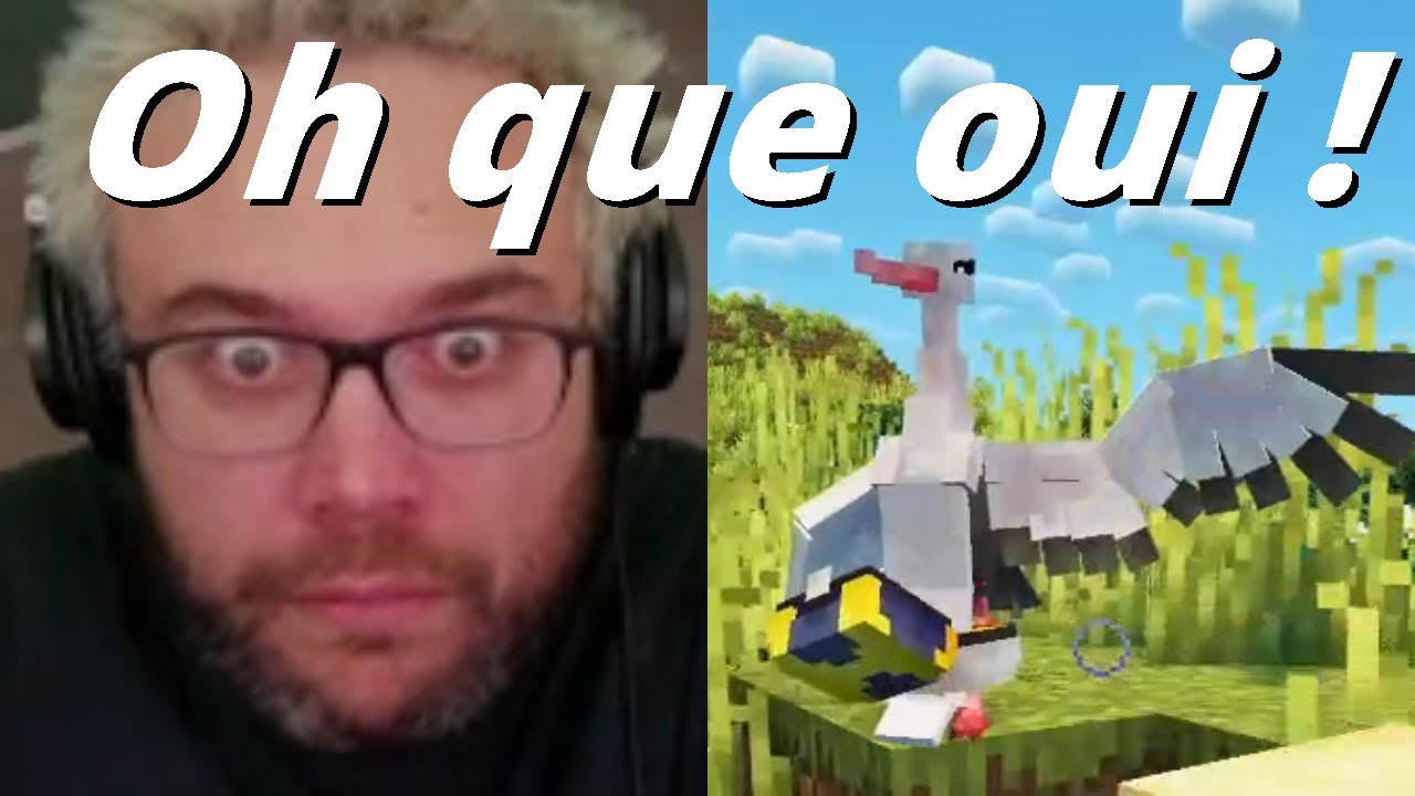 Les débuts WTF d'Antoine sur PokeRayou, son PIRE ennemi, pauvre Florence, CHUTES, poubelle et DFG !