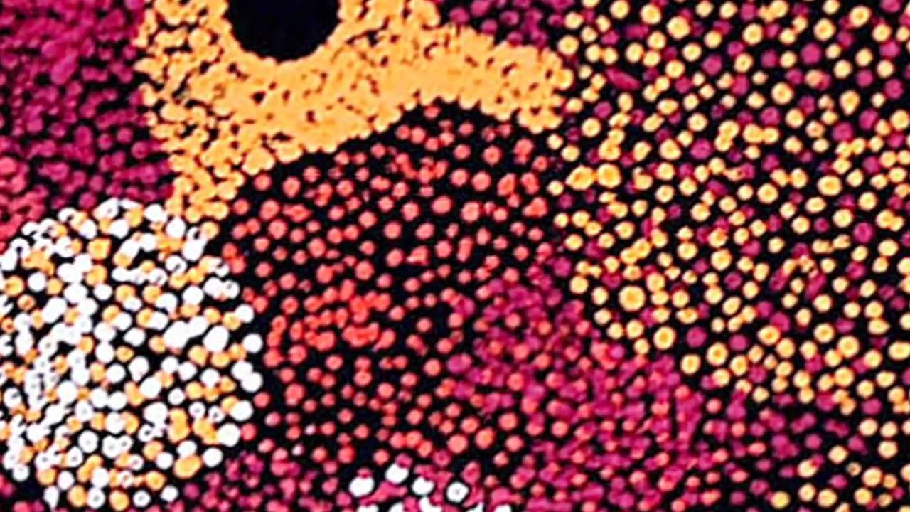 COMODAA  - An Exhibition of Contemporary Australian Art