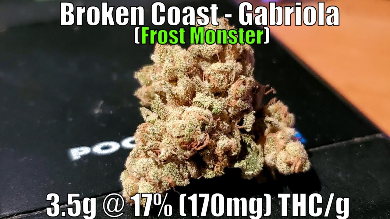 Broken Coast - Gabriola Unboxing Review - 3.5g @ 17% (170mg) THC/g (+Extreme Closeups)