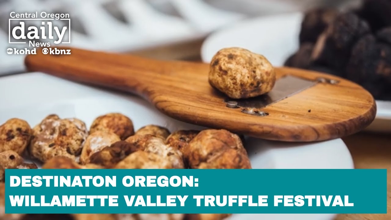 Destination Oregon: Willamette Valley Truffle (the mushroom) Festival