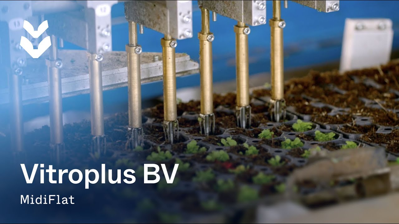 Customer story TTA-ISO - Vitroplus BV