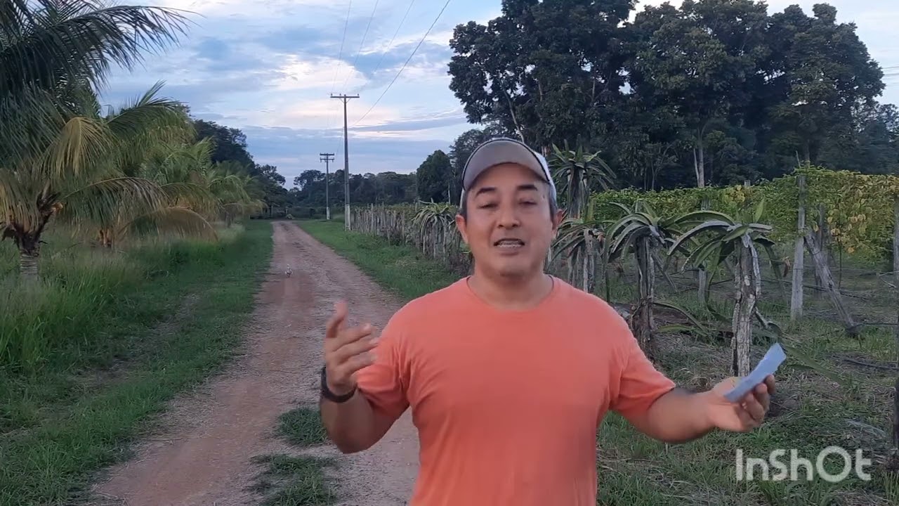 AS PITAYAS MAIS DOCES PARA CULTIVAR