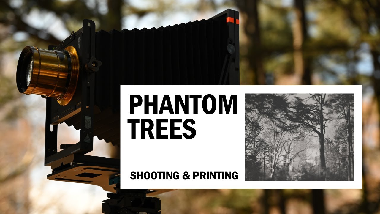 8x10 Large Format Photography & Platinum Palladium Print | Silent Vlog