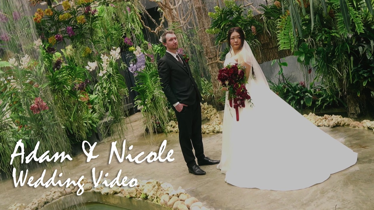 Adam & Nicole Wedding Video