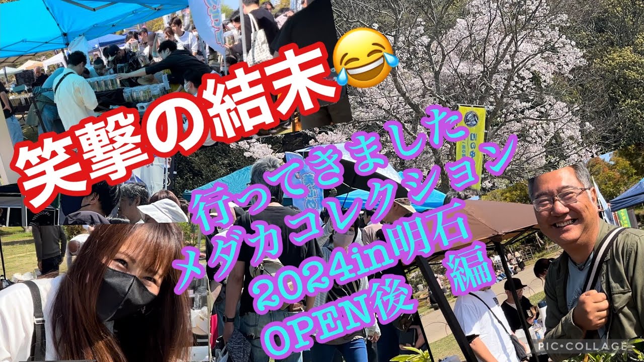 笑激の結末😂行ってきました。メダカコレクション2024in明石　OPEN後　編