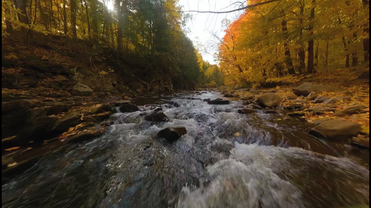 FPV CINEMATIC NATURE 🚁 | QUEBEC, CANADA