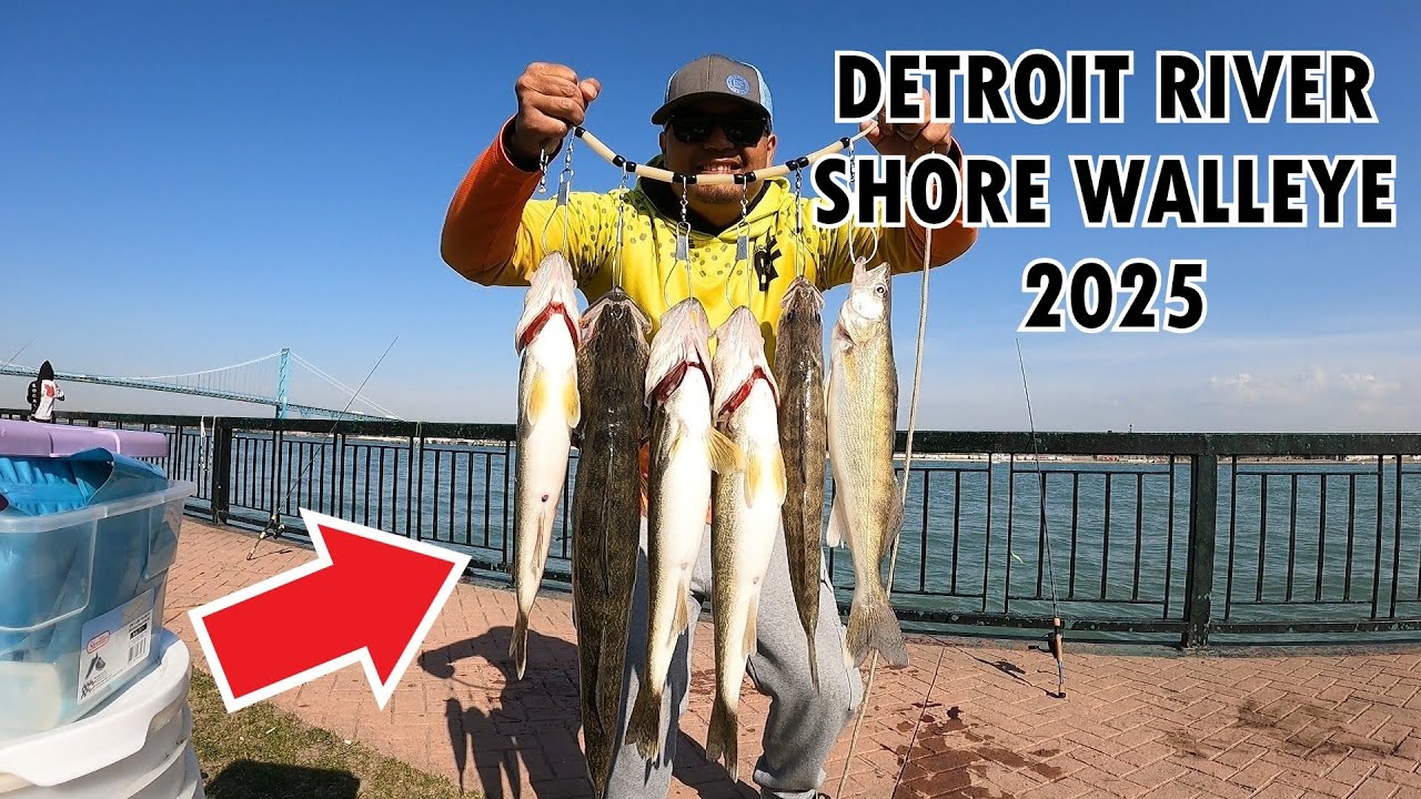 FAST LIMITS OF WALLEYE ON SHORE !!! ( INSANE BITE ) - DETROIT RIVER WALLEYE FISHING