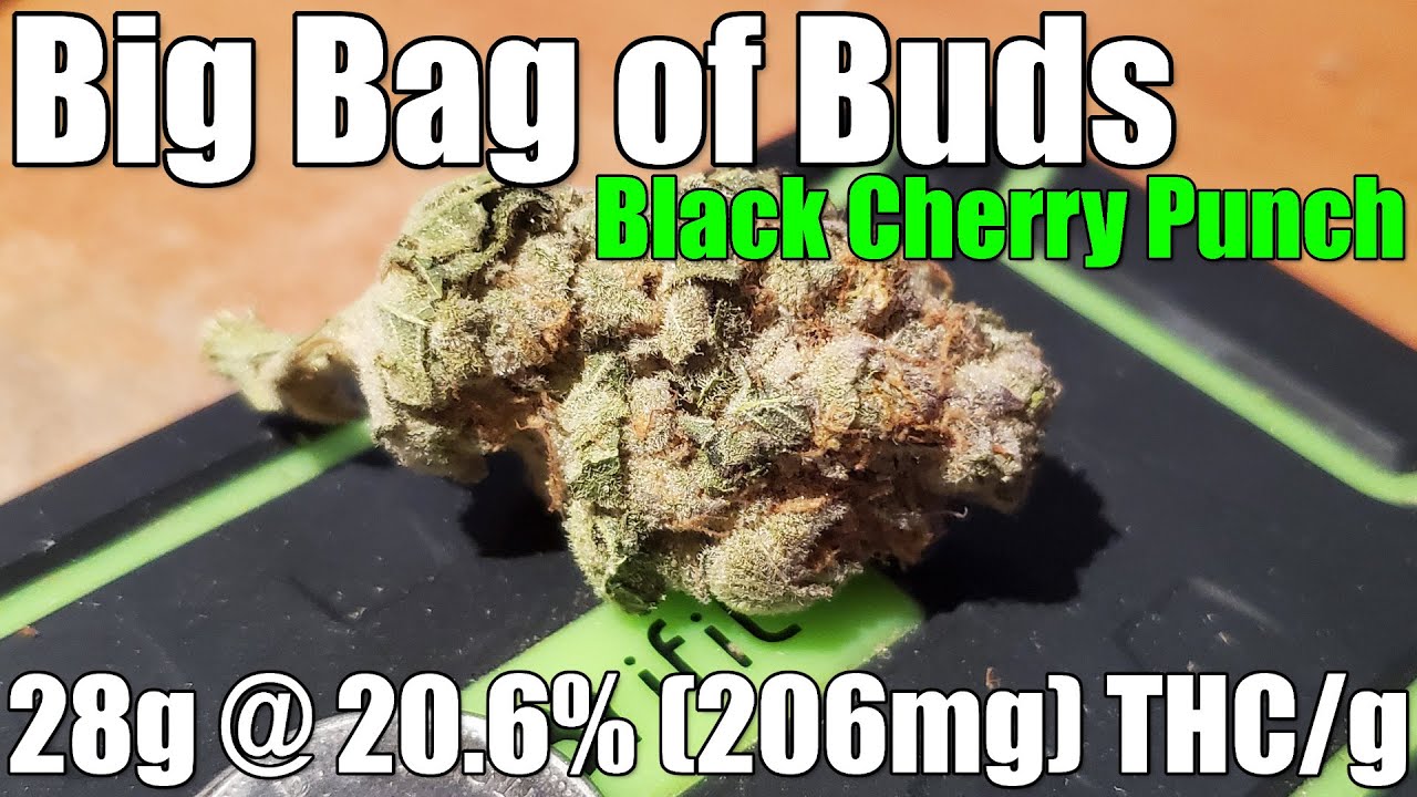 Big Bag of Buds - Black Cherry Punch - Review - 28g @ 20.6% (206mg) THC/g (+Extreme Closeups)