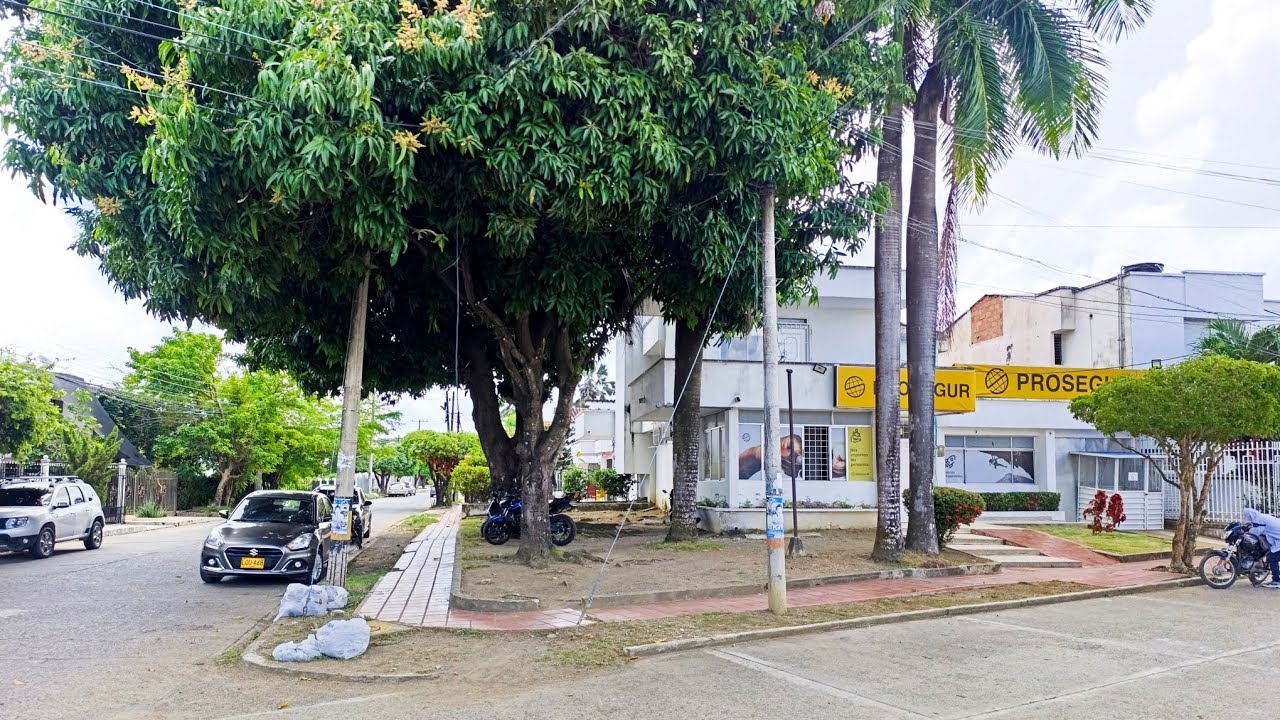 Apartamento en arriendo montería Cod 1821
