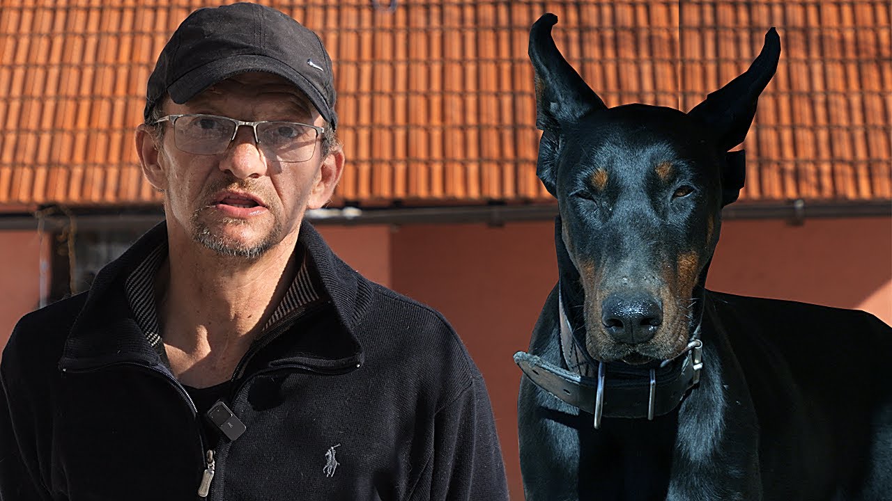 Amer hrani 30 pasa, vlasnici ostave na čuvanje i nestanu