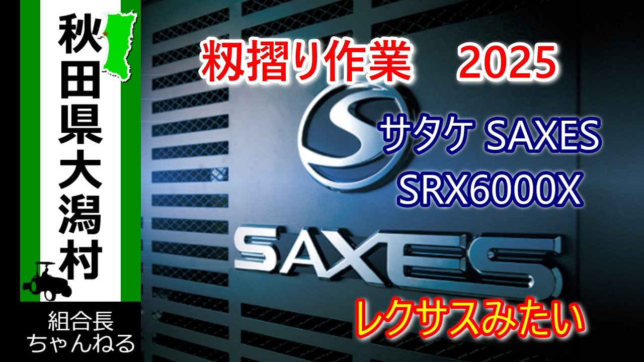 【籾摺り作業　2025】今年は雨が多い　籾摺り作業　SAXES　収量はありそう　品質は良い