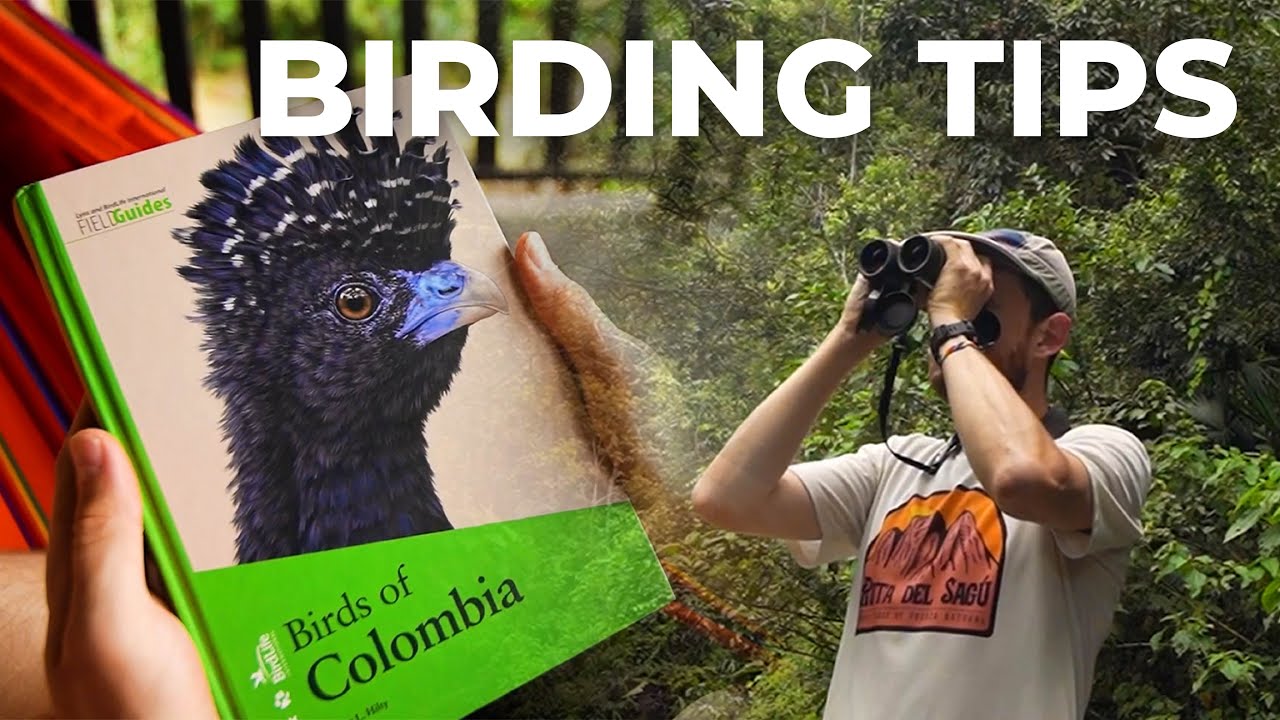 How to Prepare for a Birding Trip to a New Location | Cheep!