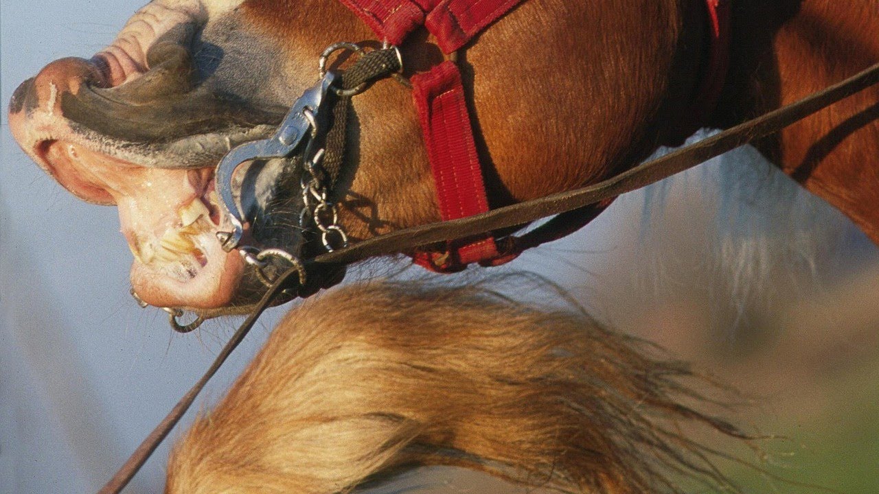 SCORPIO..GEEEESH.. SOMEONE WANTS TO FUCC YOU SOOOO BAD😈🔥🔥🔥 THEY CAN ALREADY TASTE YOU 😍😋😋