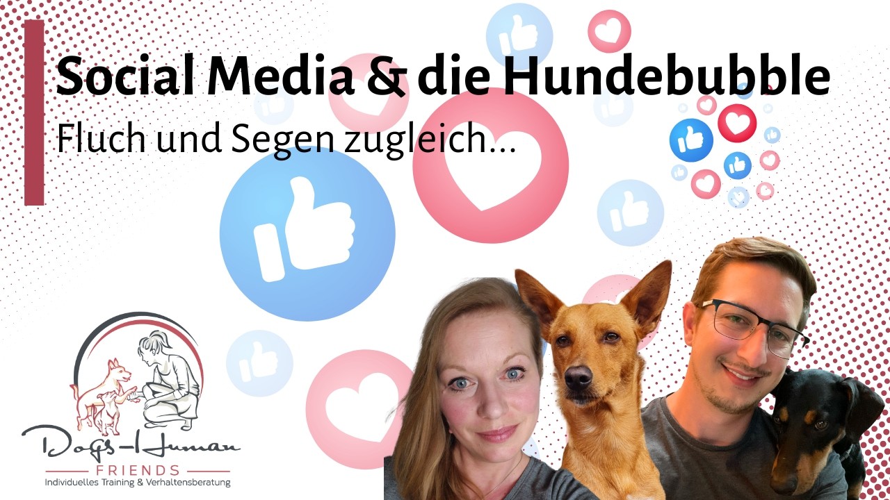 Social Media & die Hundebubble