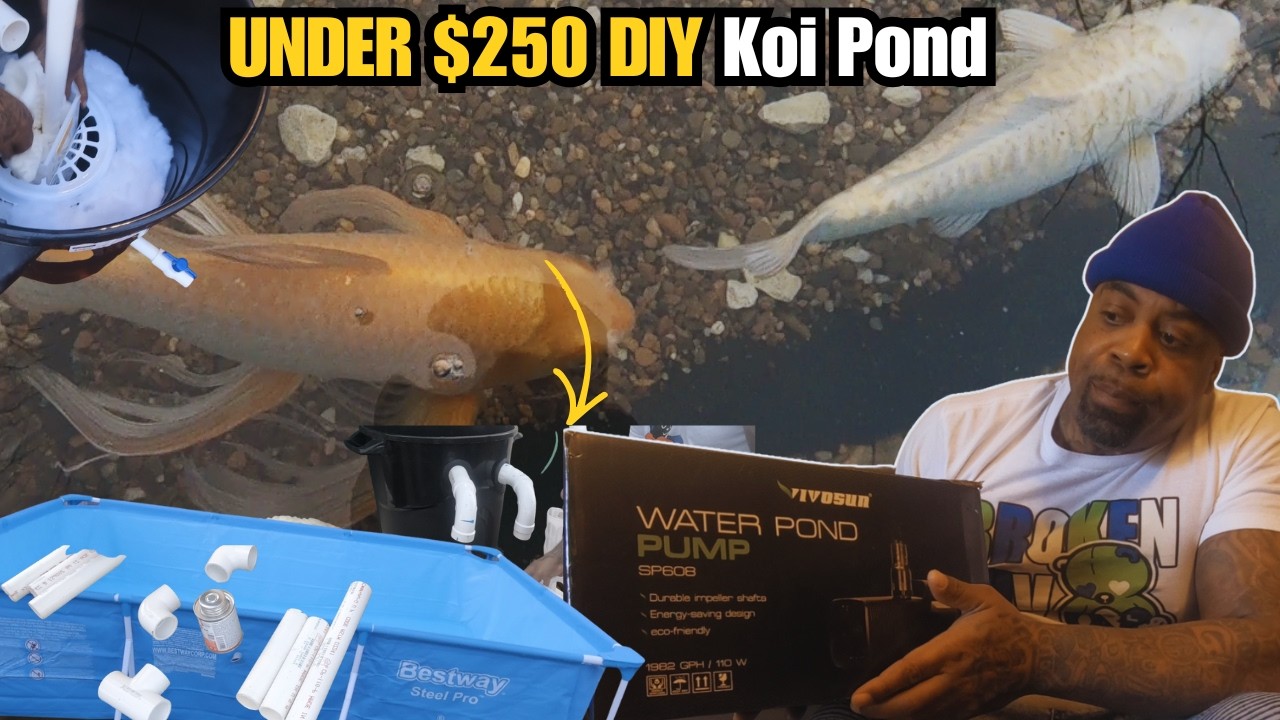 How to Build a DIY Koi & Turtle Pond with a Pool & Trash Can Filter