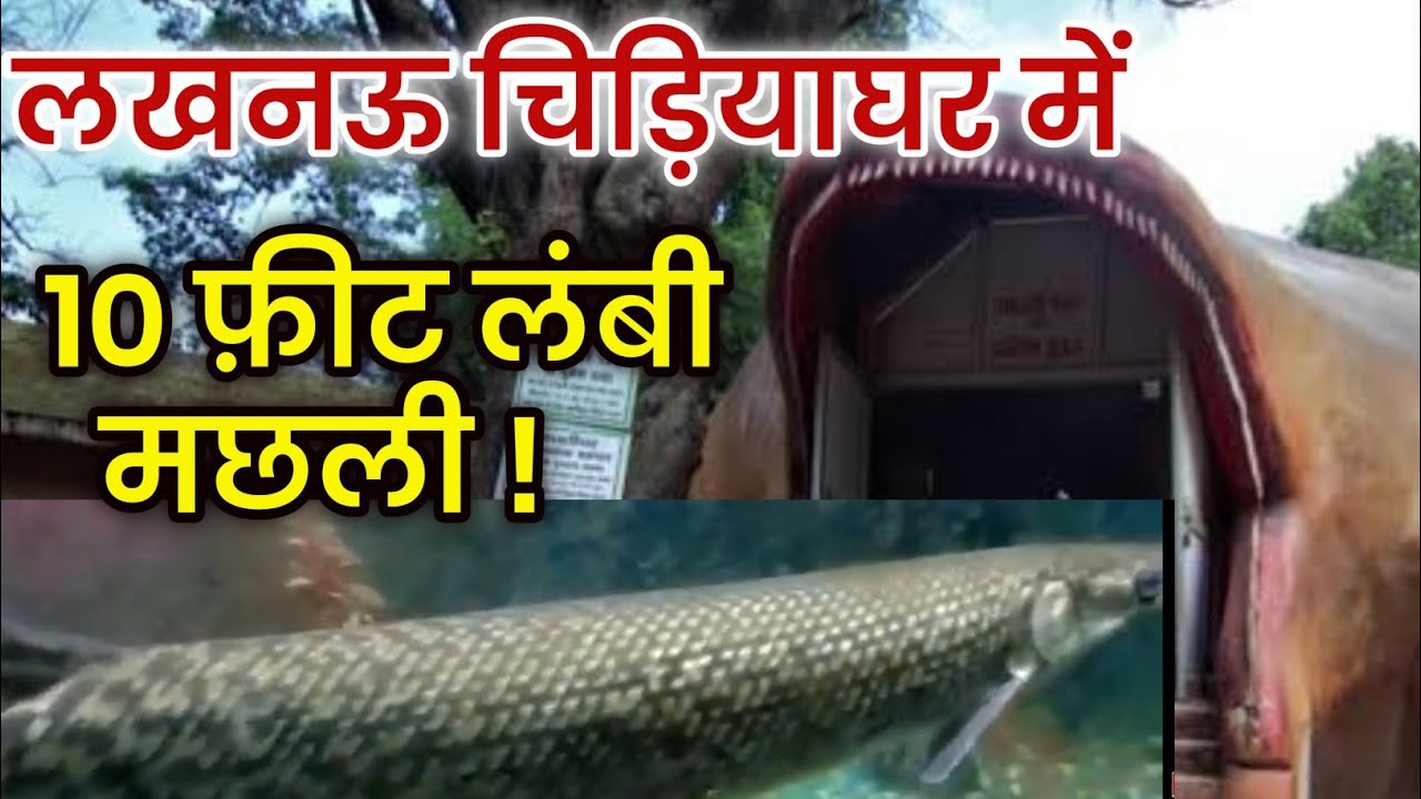 लखनऊ चिड़ियाघर का खूबसूरत दो मंजिला मछली घर । Biggest Fish House in Lucknow Zoo