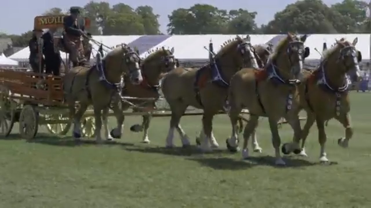 Royal Highland Show 2018 Highlights