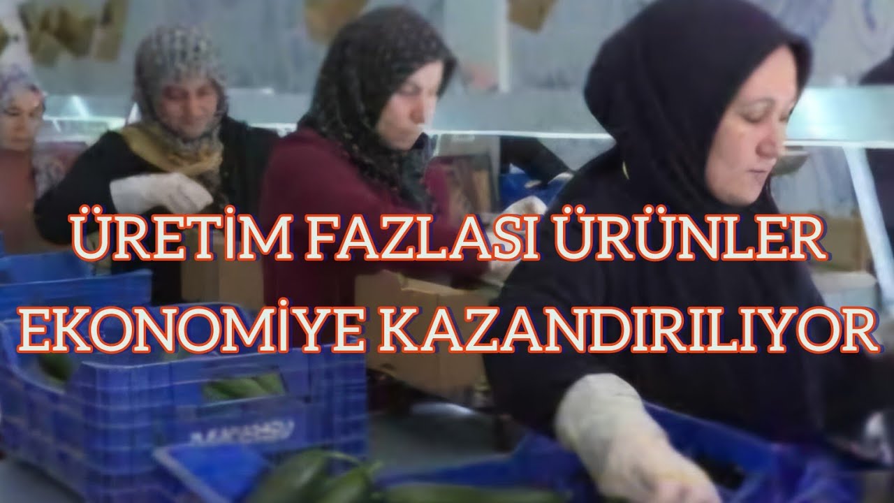 KURUTMA TESİSİ İSRAFI ÖNLÜYOR