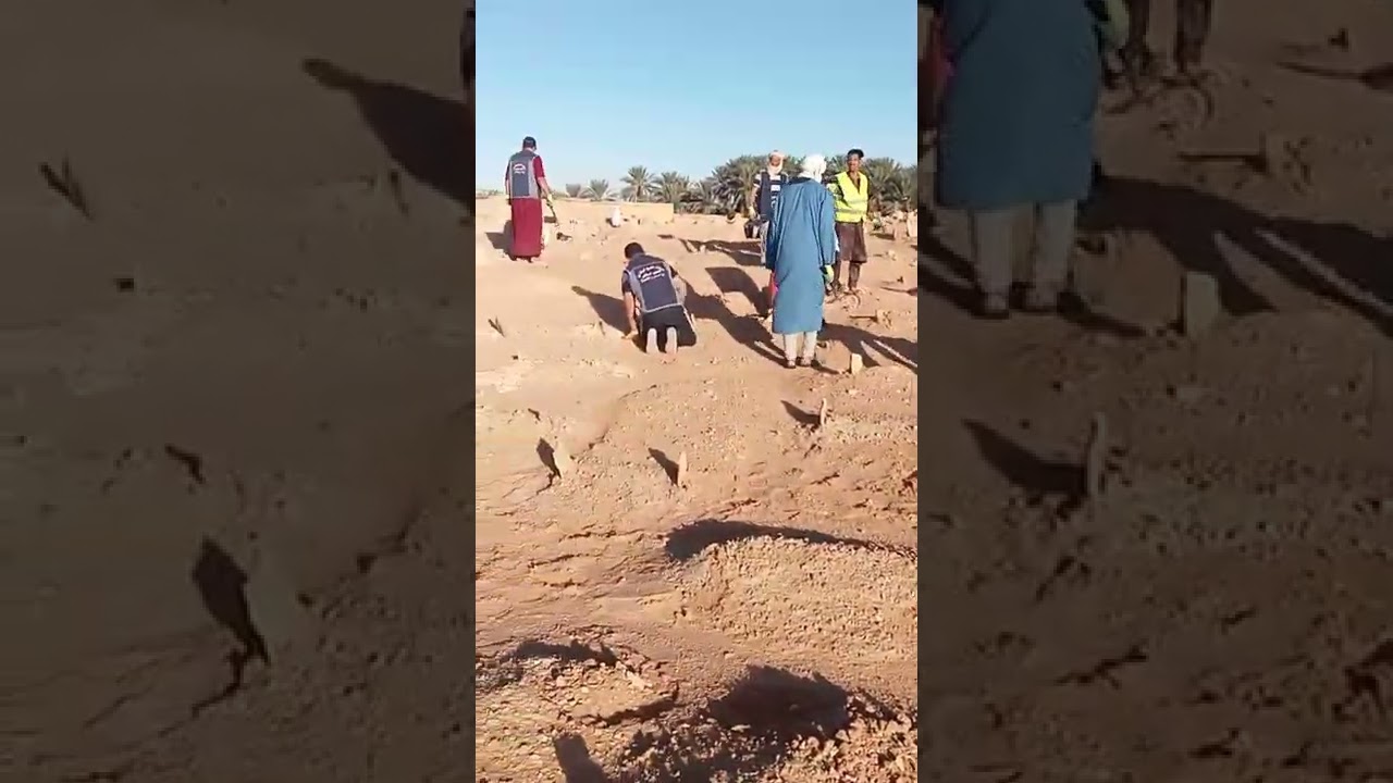 عملية تنظيف مقبرة 