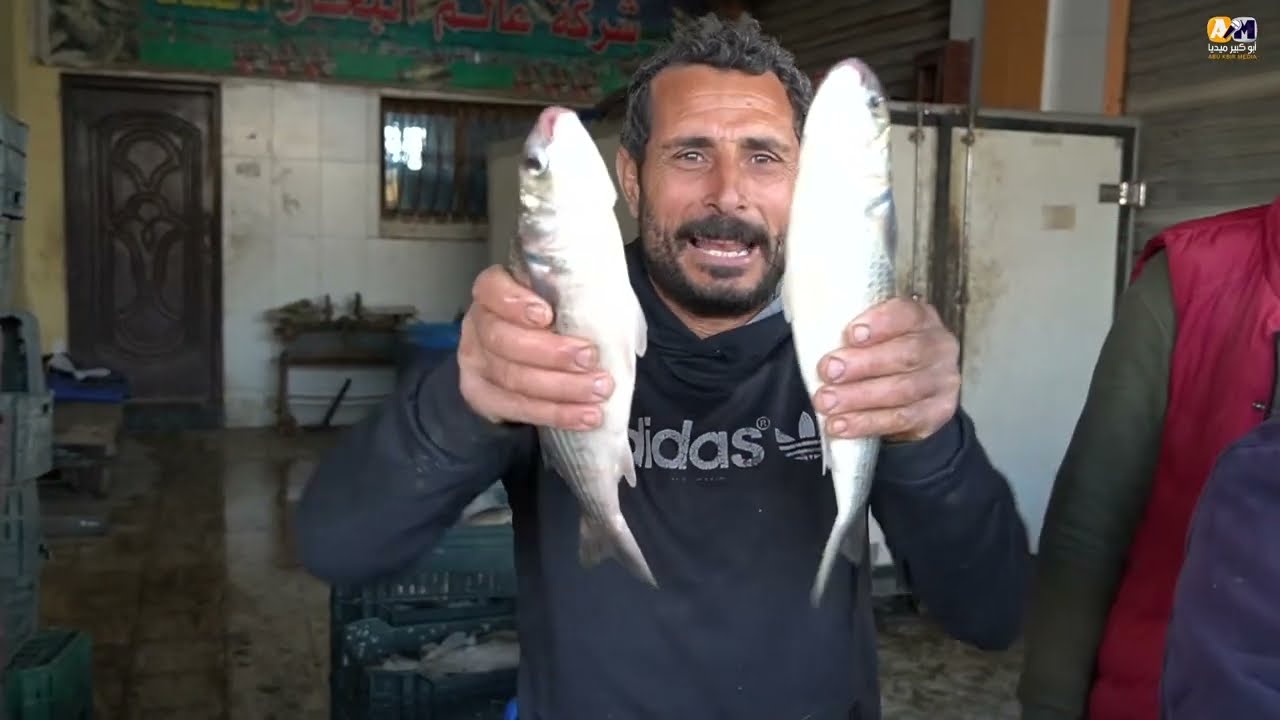 شادر عزام  اكبر تجمع لتجار الاسماك في مصر الوجه الاخر للكنوز المدفونة