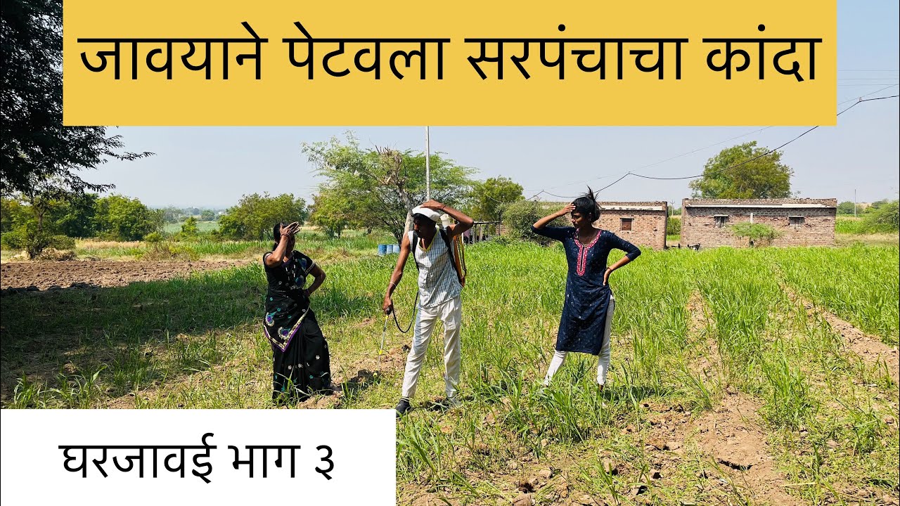 जावयाने सासऱ्या चे समजून सरपंचाचे कांदे जाळले//घर जावई भाग ३ तारांबळ वेब सिरीज